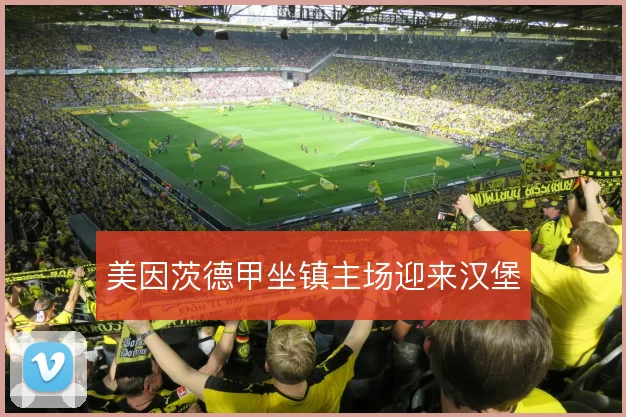 美因茨德甲坐镇主场迎来汉堡