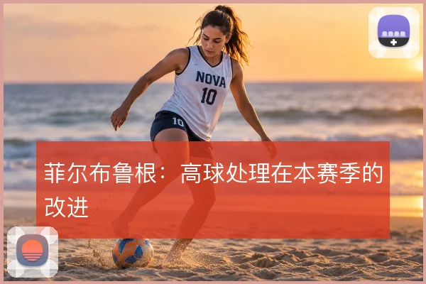 菲尔布鲁根：高球处理在本赛季的改进
